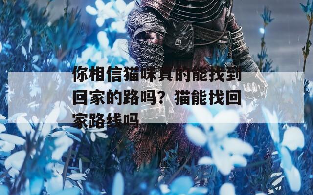 你相信猫咪真的能找到回家的路吗？猫能找回家路线吗