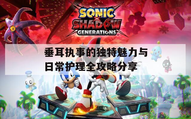 垂耳执事的独特魅力与日常护理全攻略分享