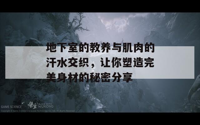 地下室的教养与肌肉的汗水交织，让你塑造完美身材的秘密分享