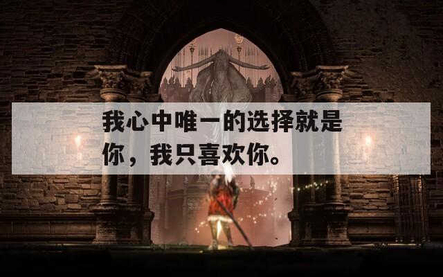 我心中唯一的选择就是你，我只喜欢你。