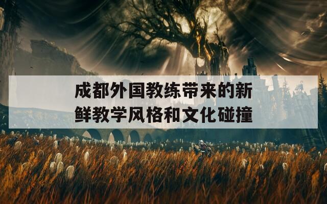 成都外国教练带来的新鲜教学风格和文化碰撞