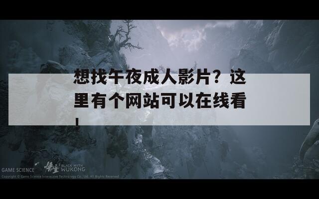 想找午夜成人影片？这里有个网站可以在线看！