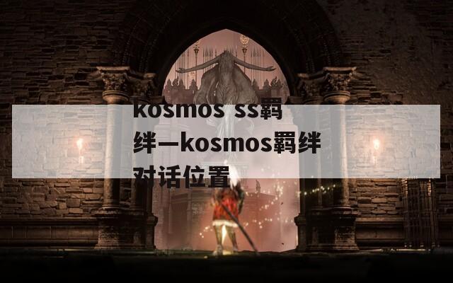 kosmos ss羁绊—kosmos羁绊对话位置
