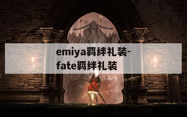 emiya羁绊礼装-fate羁绊礼装