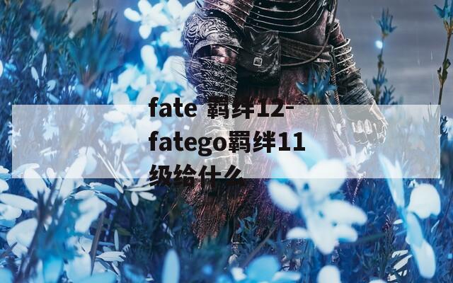fate 羁绊12-fatego羁绊11级给什么