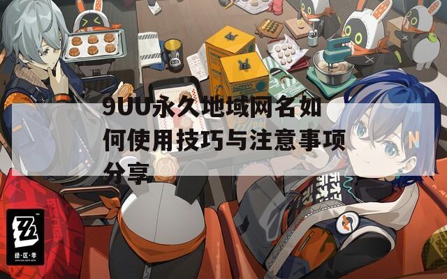 9UU永久地域网名如何使用技巧与注意事项分享