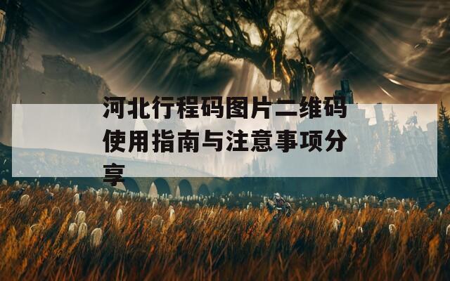 河北行程码图片二维码使用指南与注意事项分享