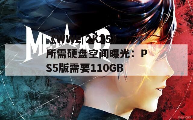 《WWE 2K25》所需硬盘空间曝光：PS5版需要110GB！