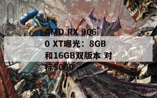 AMD RX 9060 XT曝光：8GB和16GB双版本 对标5060