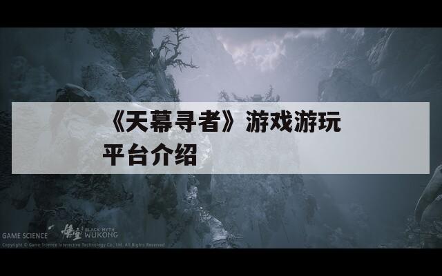 《天幕寻者》游戏游玩平台介绍
