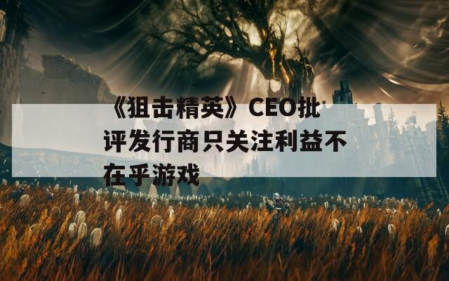 《狙击精英》CEO批评发行商只关注利益不在乎游戏