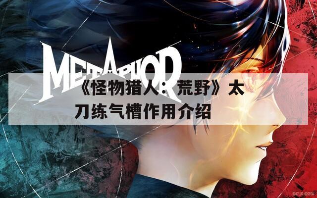 《怪物猎人：荒野》太刀练气槽作用介绍