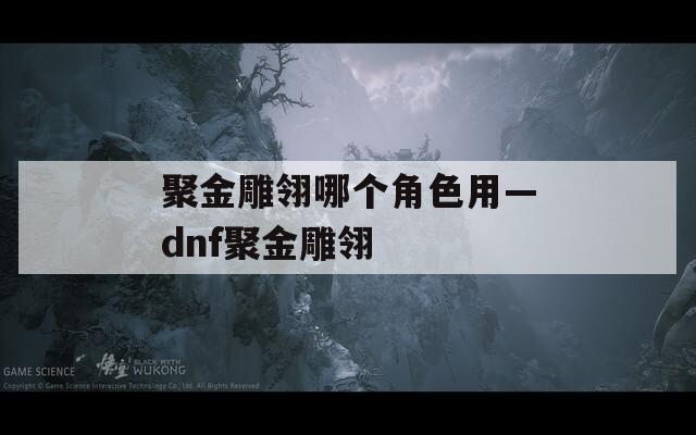 聚金雕翎哪个角色用—dnf聚金雕翎