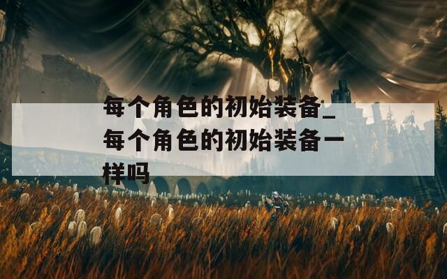 每个角色的初始装备_每个角色的初始装备一样吗